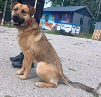 CHARLIE