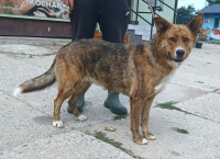 NORA